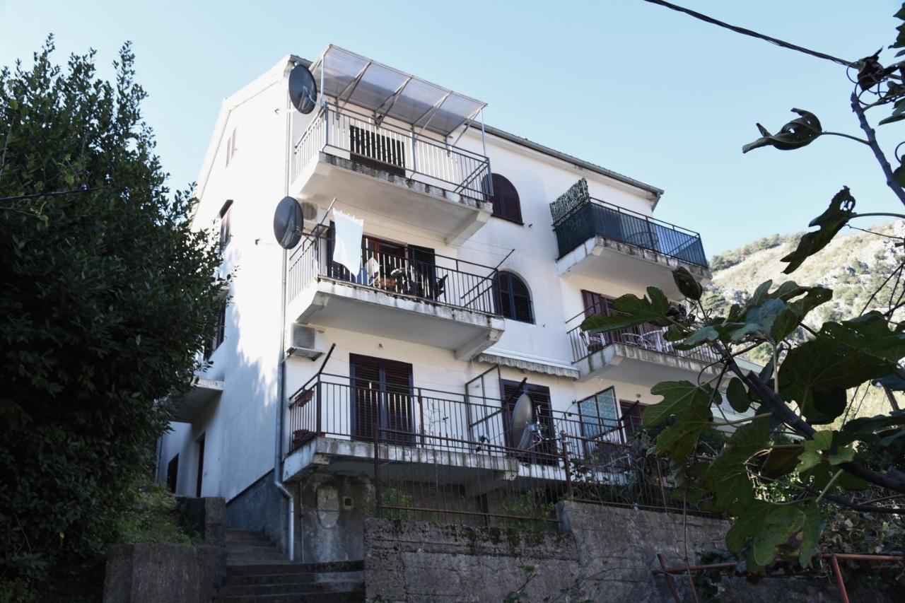 Apartment Lima Kotor Bagian luar foto